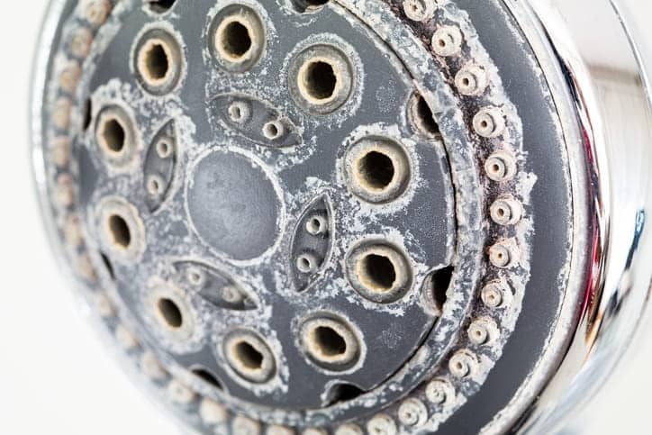 A showerhead with calcium buildup on it from hard water. 
